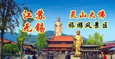 大鸡吧叉逼视频免费网站江苏无锡灵山大佛旅游风景区
